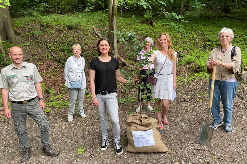 Frauenclub spendet Bäume für den Bielefelder Stadtwald